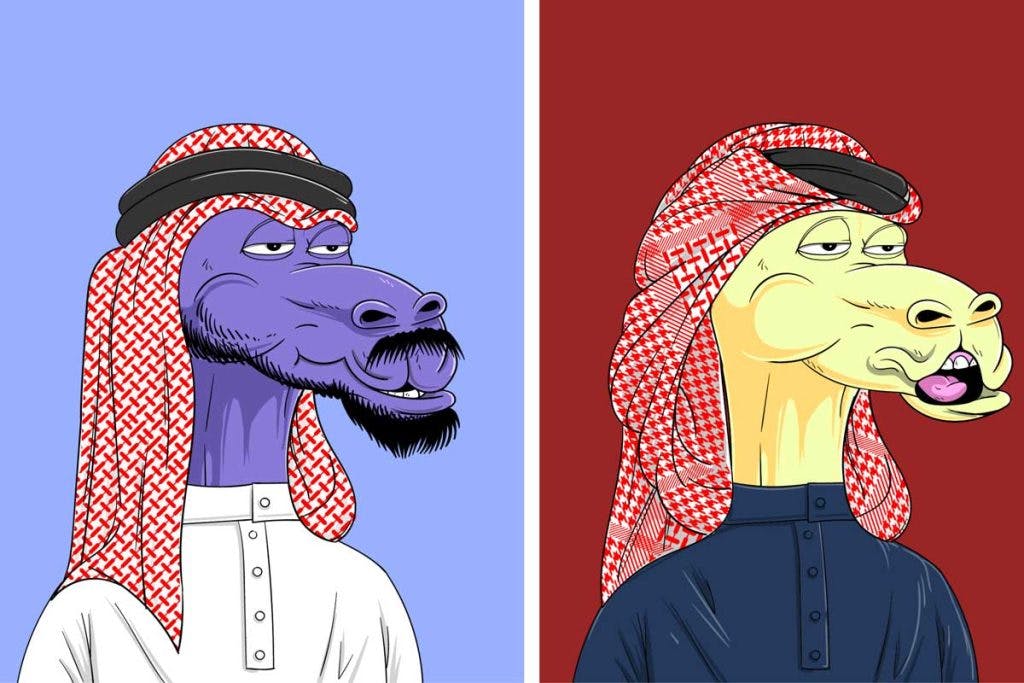 Crypto camels