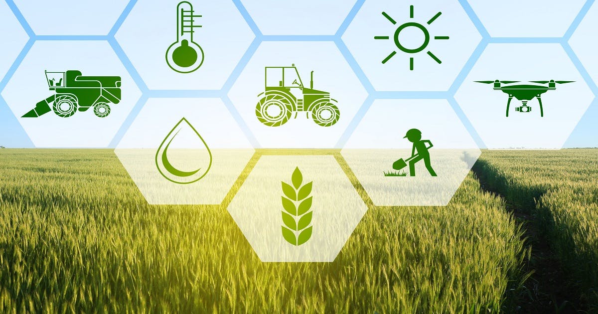 شركة جديدة تخصص نشاطها في مجال البلوكتشين لدعم المزارعين بالدول النامية Featured Image