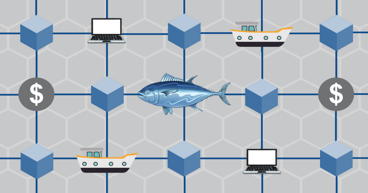 مستقبل مهنة الصيد في الاعتماد على تكنولوجيا البلوكتشين لتحقيق الاستدامة Featured Image